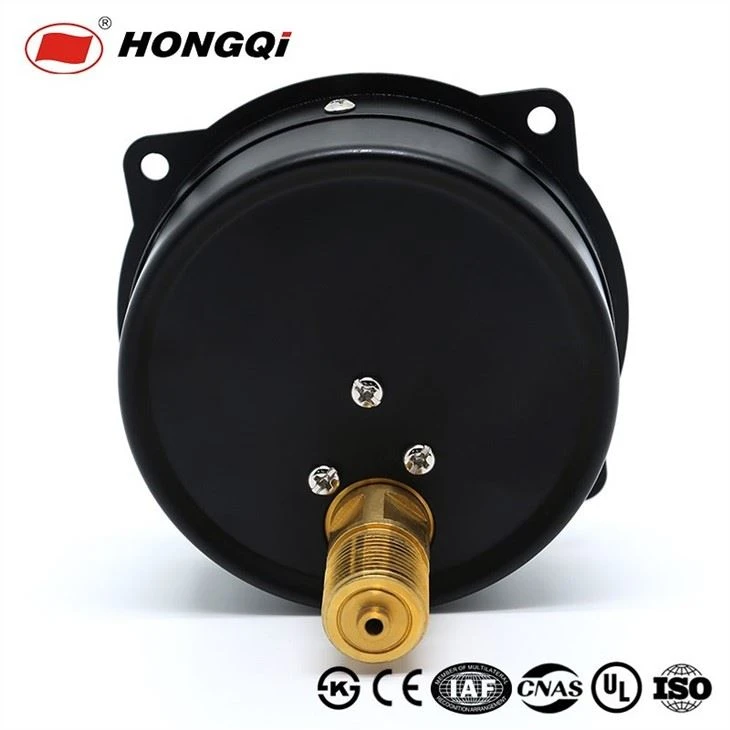Pressure Gauges Axial Edge Connection Type 100mm/4inch